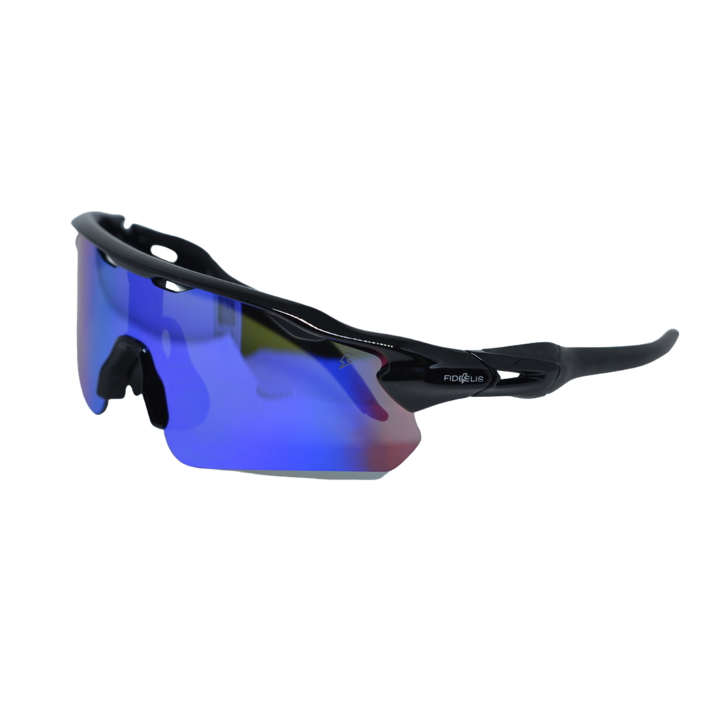 Fidelis Impulse